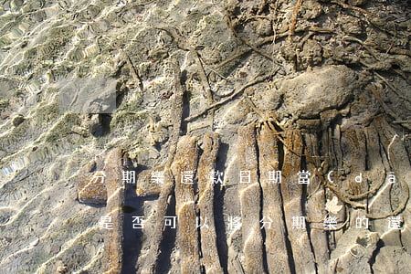 分期樂還款日期當(dāng)天還可以嗎，是否可以將分期樂的還款日期推遲至當(dāng)天？